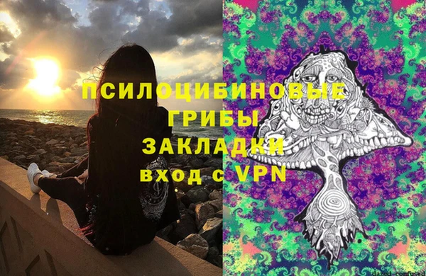 марки lsd Вяземский