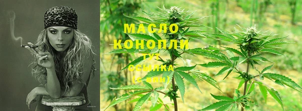 гидра Олёкминск